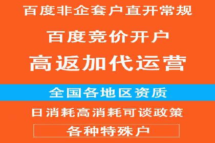 SEM竞价员的核心技能与成功案例解析